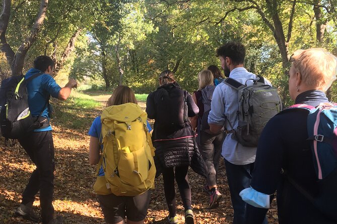 Saturnia's thermal waters a hike through history - Key Points