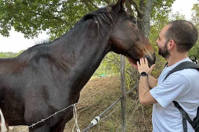 Saturnia's thermal waters a hike through history - Who Will Most Benefit from This Tour