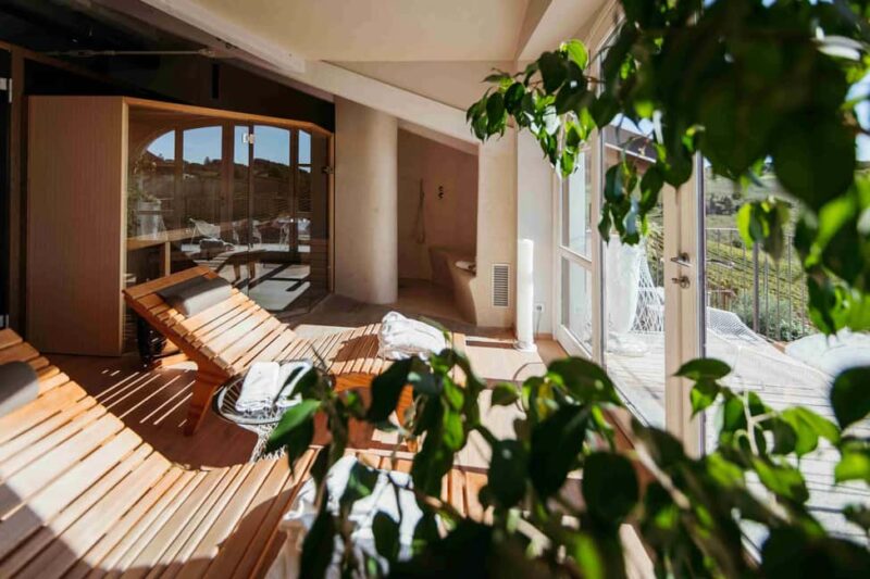 Sauna in the Langhe: views, essential oils, and grape wellness - Grape Wellness: Facial Masks and Seed Oil