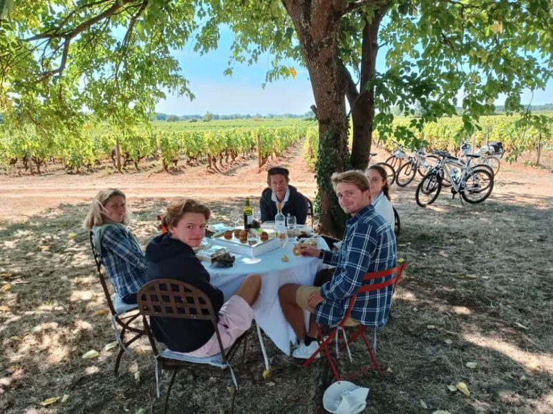 Sauternes: discover the vineyards by E-bike in total privacy - What Sets This Tour Apart from Other Wine Experiences?