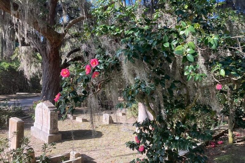 Savannah: Bonaventure Cemetery Golf Cart Guided Tour - Highlights: Notable Graves and Landmarks