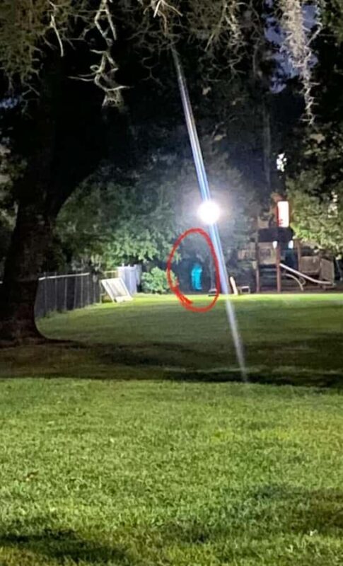 Savannah: Deathly Debutantes Guided Walking Tour - The Sum Up: A Spooky Night Out with a Female Twist