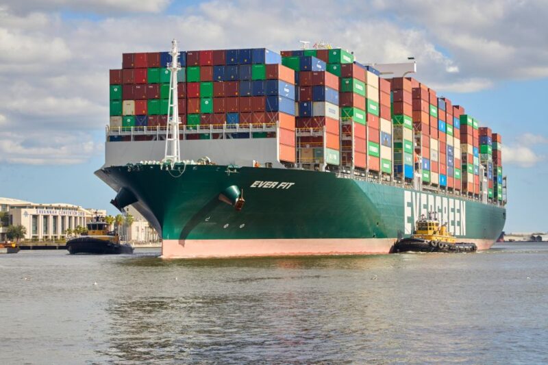 Savannah: Dolphin Spotting and Wildlife Eco Cruise - Prime Dolphin Viewing Opportunities in Their Natural Habitat