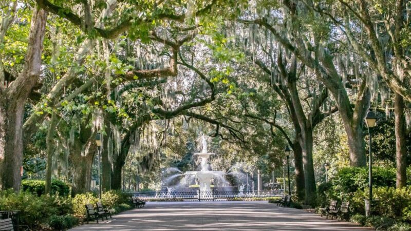 Savannah: History, Culture, & Scenic Views E-Bike Tour - From the Historic District to Quiet Side Streets