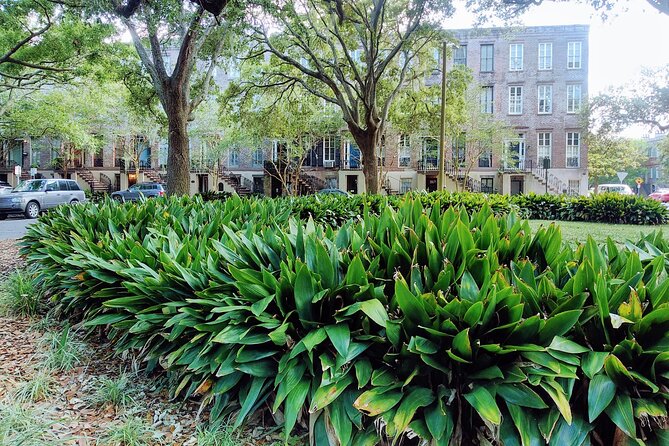 Savannah Irish History Walking Tour - Explore Savannah’s Irish Heritage in a 1.5-Hour Guided Walk