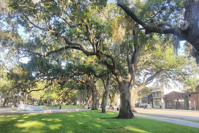 Savannah Irish History Walking Tour - Emmet Park and the Celtic Cross Monument