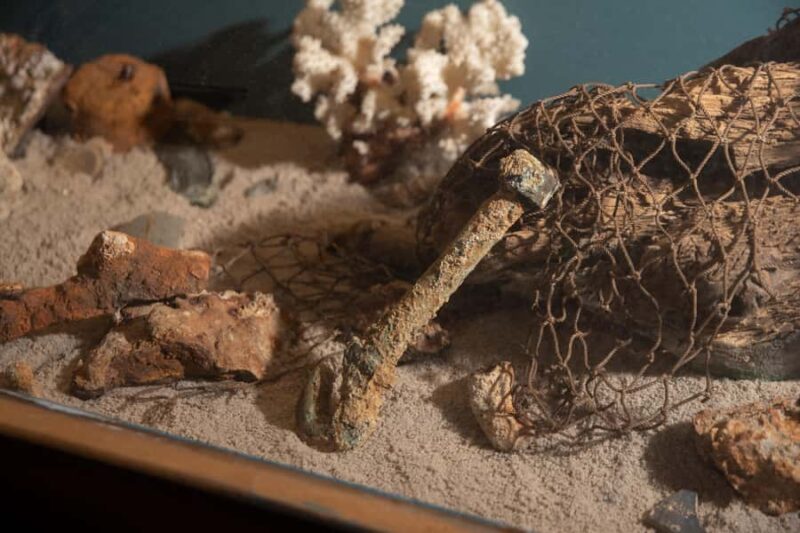 Savannah: Pirates and Treasure Museum Entry Ticket - What to Expect During the 4-Hour Visit