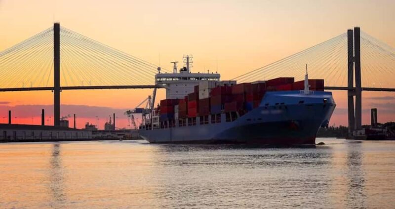 Savannah: Sunset Dolphin Watching Eco Tour by Boat - Key Points