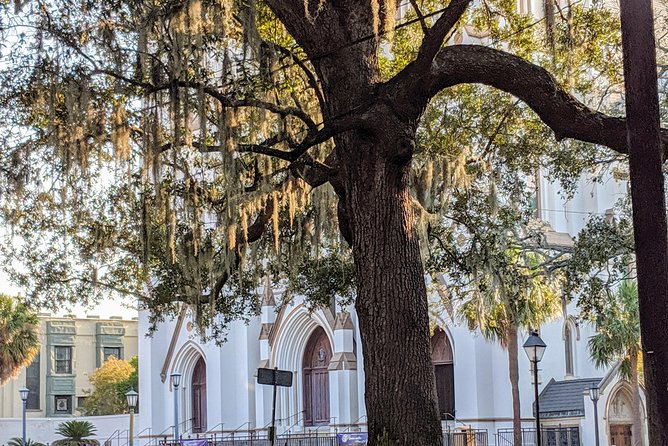 Savannah VIP Tour: Private Full-Day Tour - Flexibility and Customization