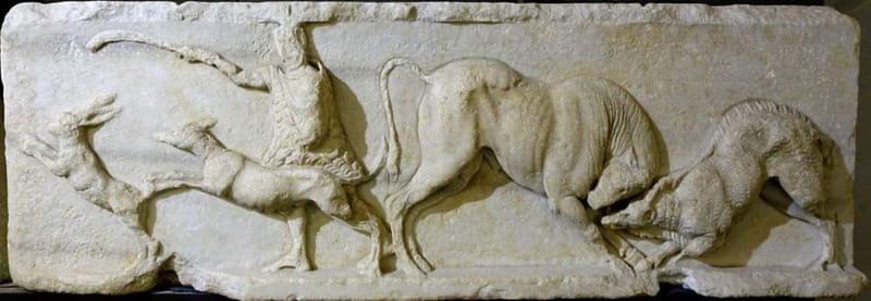 Savona: Guided visit to the Civic Archaeological Museum and the City of Savona - Exploring Savona’s Ancient Roots at the Civic Archaeological Museum