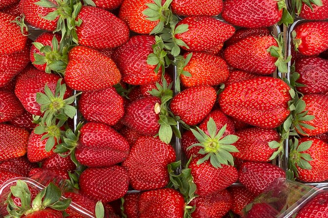 Savor Athens Walk: A Culinary & Travel Writers Insider Food Tour - Meet Your Guide in Central Athens