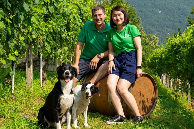 Savor Ossola Wines & Local Treats in a Scenic Vineyard - Why This Tour Stands Out