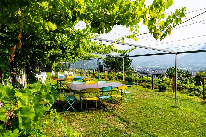 Savor Ossola Wines & Local Treats in a Scenic Vineyard - Final Thoughts on the Ossola Valley Wine Tour