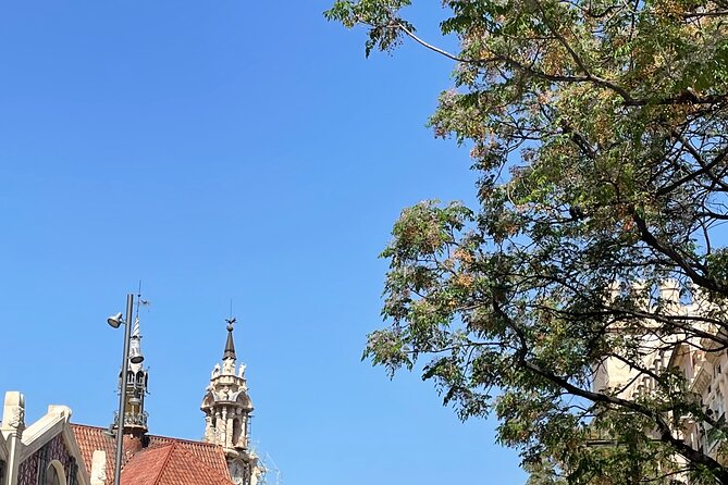 Savor Spain: Your Ultimate Tapas Tour Guide - Supporting Small, Family-Owned Businesses and Local Ingredients