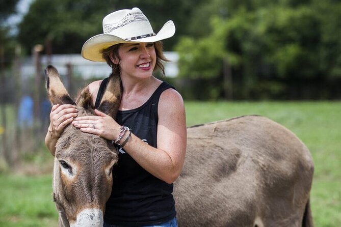 Savor the SYV Farm Experience Cattle Ranch to Olive Grove Picnic - Discover the Santa Ynez Valley Farm Tour with Cattle and Olive Groves