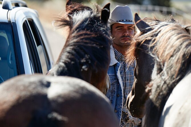 Savor the SYV Farm Experience Cattle Ranch to Olive Grove Picnic - Logistics and Group Size