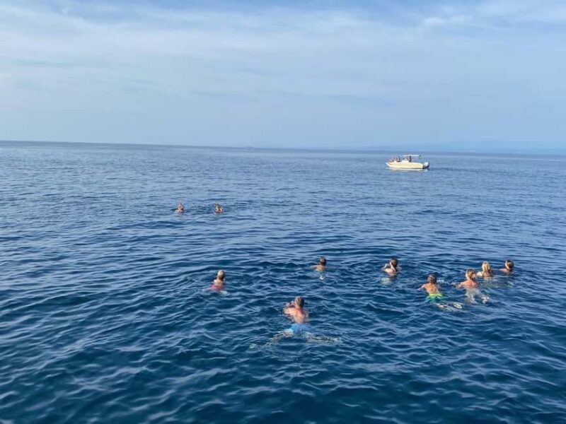 Savudrija: Private Sunset Dolphin-Watching Boat Tour - Key Points