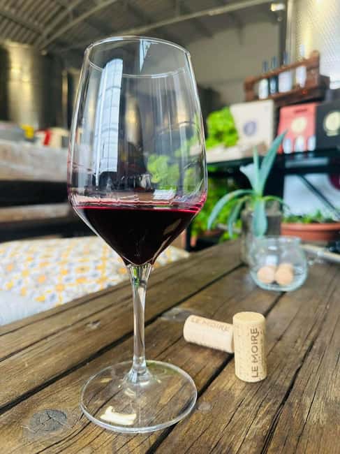 Savuto: Tour of the vineyards and visit to the winery with tastings - Key Points