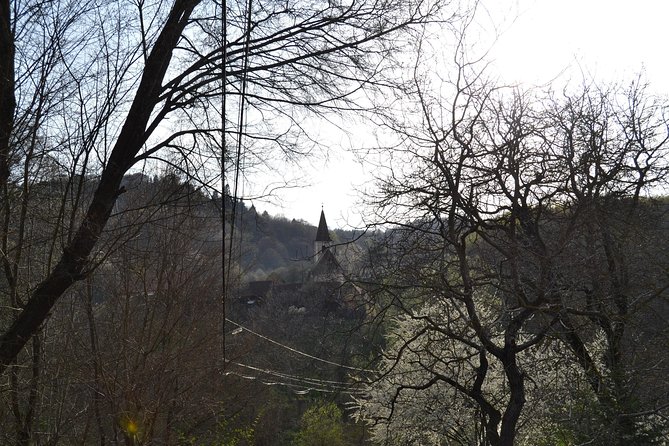 Saxon Heritage in Transylvania: Day Trip from Cluj-Napoca - Comfortable Transportation and Expert Guidance