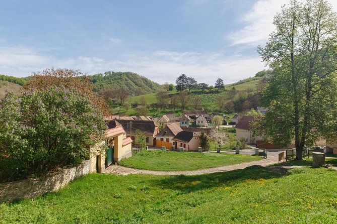 Saxon Secrets: The Malancrav & Biertan Experience - Who Should Book This Tour?