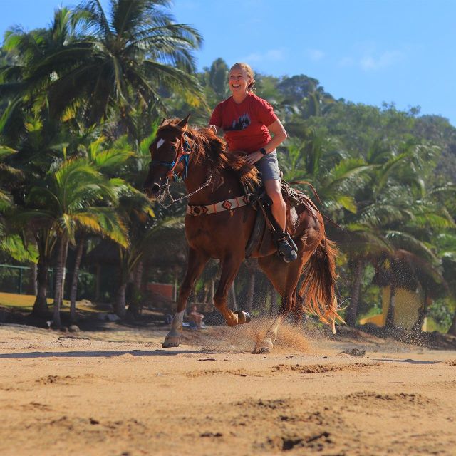 Sayulita: Horseback Riding Tour - Meet at Varying Locations Based on Booking Choice