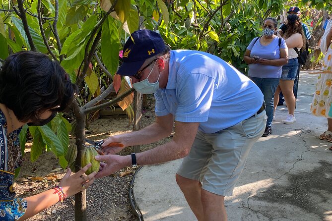 Sayulita Magical Town Tour: Local food, and chocolate. - Sampling Local Sweets in Sayulita’s Candy Shops