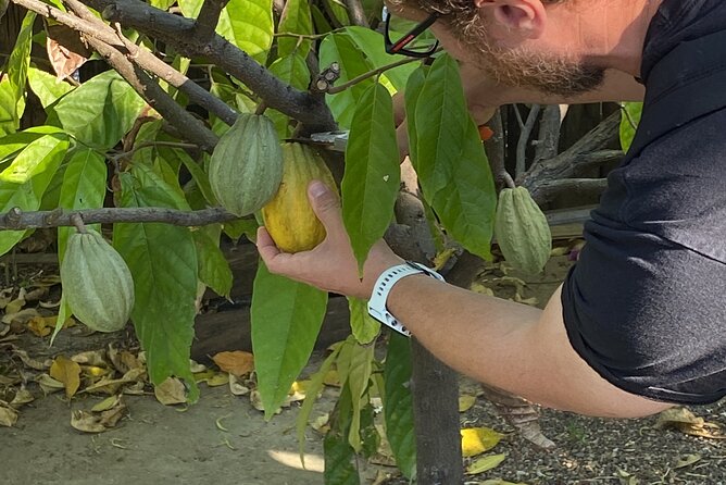 Sayulita Magical Town Tour: Local food, and chocolate. - Exploring Sayulitas Markets and Streets