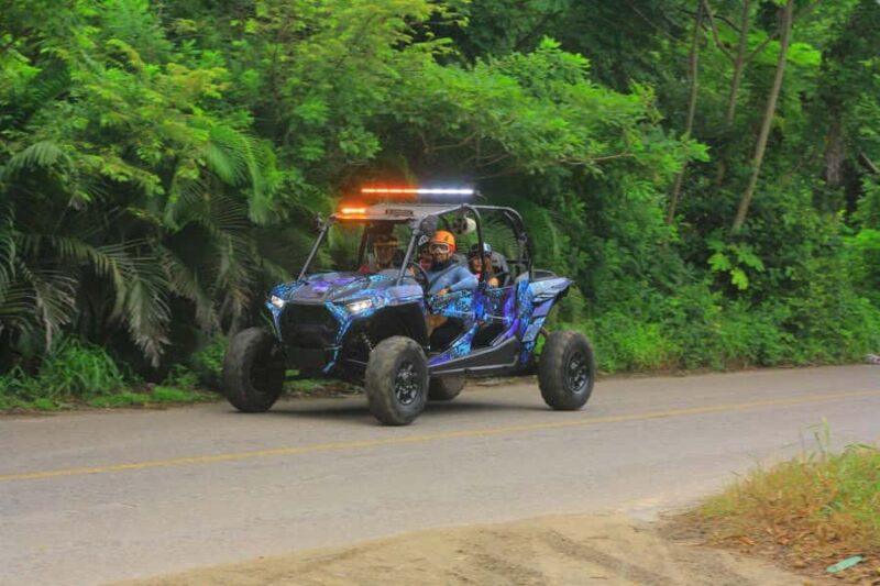 Sayulita Off-Road RZR Tour - Key Points
