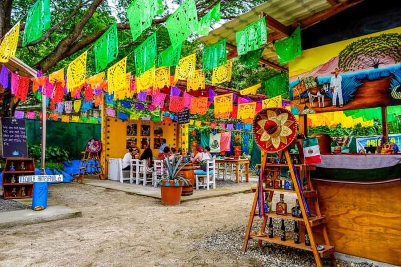 Sayulita & San Pancho: Private Trip from Puerto Vallarta - Value and Booking Options