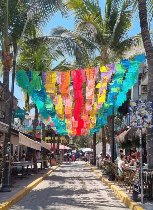 Sayulita & San Pancho: Private Trip from Puerto Vallarta - Known Strengths and Considerations