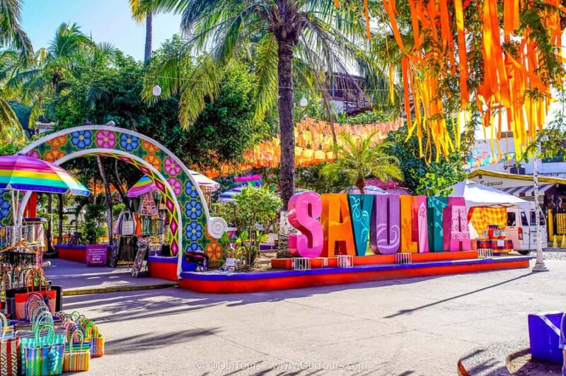 Sayulita & San Pancho: Private Trip from Puerto Vallarta - Sayulita & San Pancho: Private Trip from Puerto Vallarta - A Personal Coastal Journey