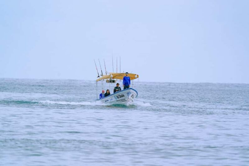 Sayulita, Sport Fishing in the Pacific - Practical Details: Meeting Point, Group Size, and Timing