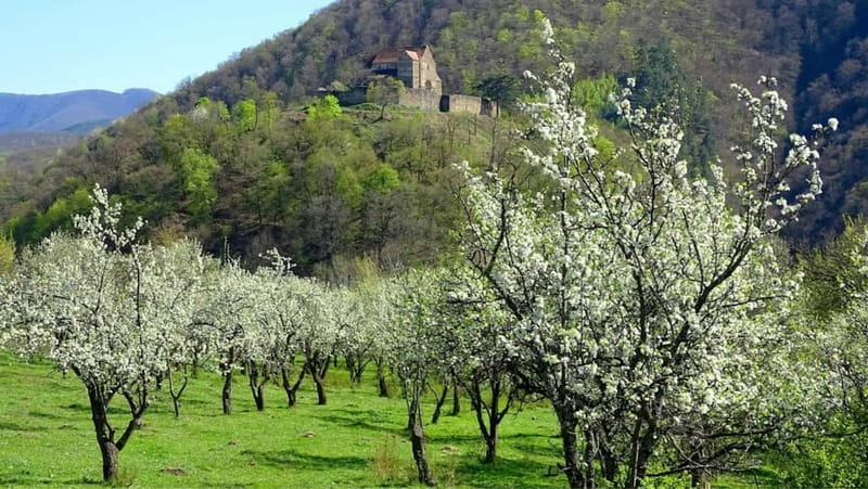 SB13 - Sibiu: Private Day Trip to Transylvanian Villages - Visiting Cisnadie’s Fortified Church and its Architectural Significance