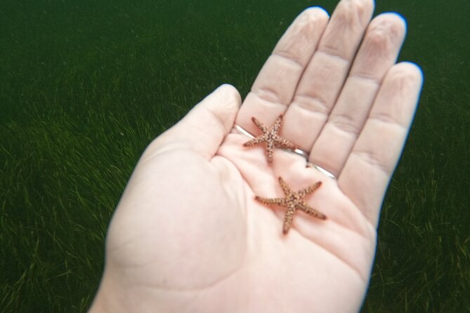 Scalloping Charters - Weather and Cancellation Policies for Flexibility