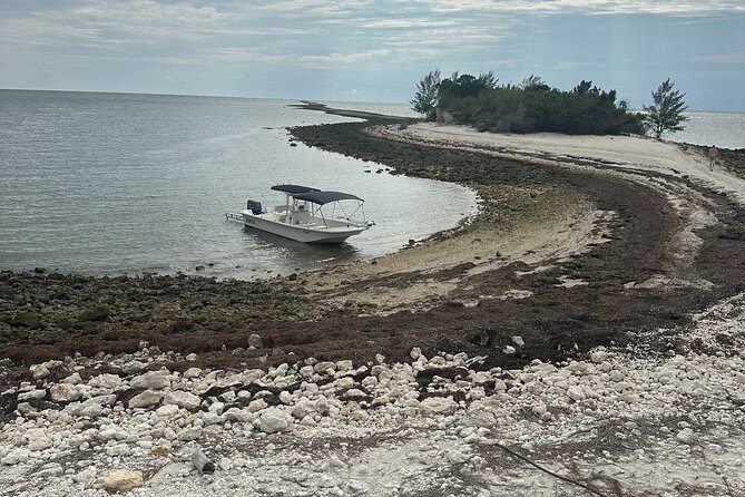 Scalloping Charters - Pricing, Inclusions, and What’s Not Included