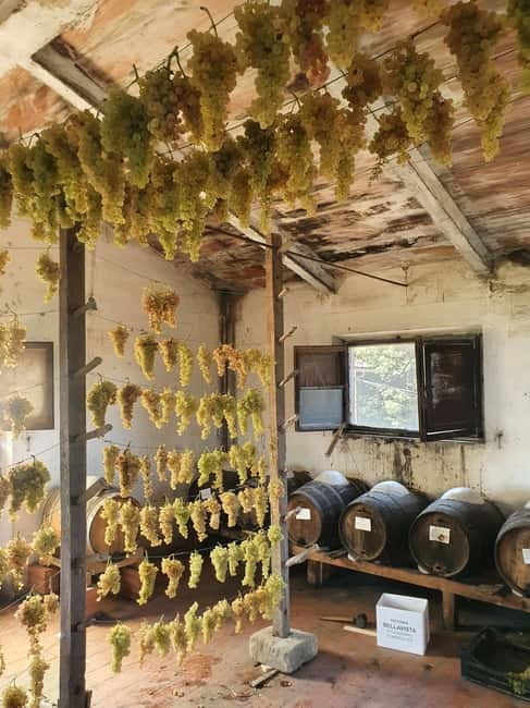 Scandicci: Bellavista Wine Tasting Experience - Special Features That Set This Tour Apart