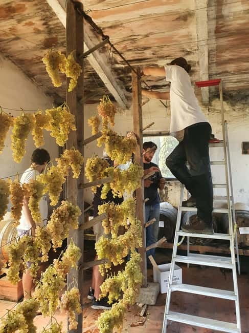 Scandicci: Bellavista Wine Tasting Experience - Final Thoughts on the Bellavista Wine Tasting Experience