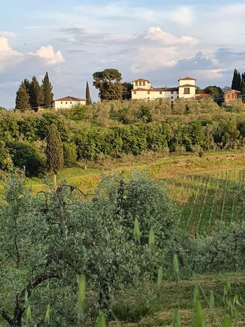 Scandicci: Bellavista Wine Tasting Experience - Frequently Asked Questions
