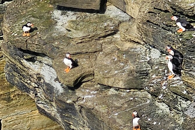 Scapa Tours - The Private Tour Experience in Scotland’s Orkney Islands