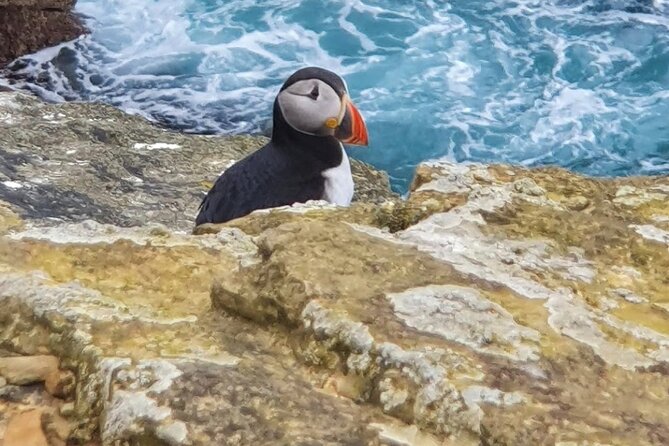Scapa Tours - The Magnificent Ring of Brodgar and UNESCO Heritage Status