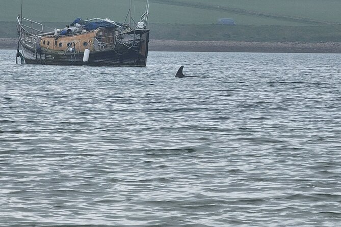 Scapa Tours - The Italian Chapel and Its Wartime Legacy