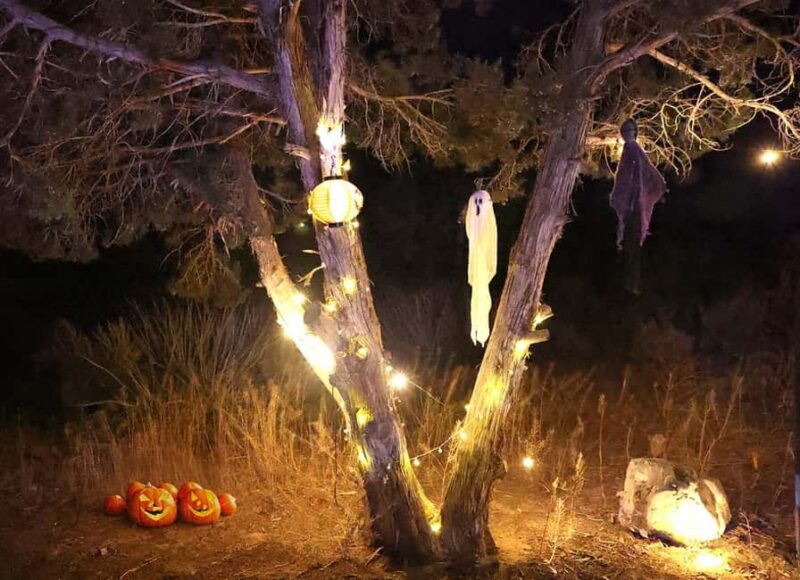 Scary Movie Night in the Desert - Spooky Movie Night in the Nevada Spring Mountains: A Unique Outdoor Horror Experience