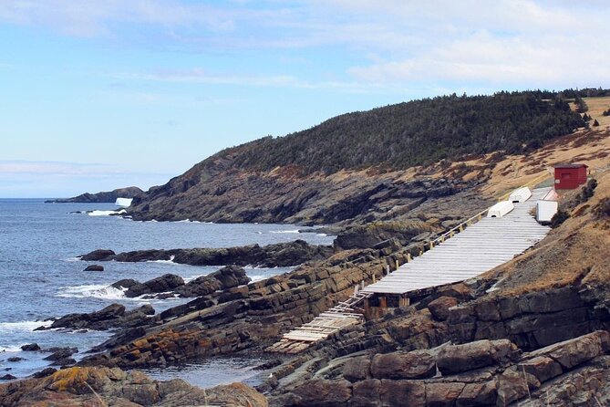 Scenic Bus Tour of the Northeast Avalon from St. John's - Discover the Scenic Bus Tour of the Northeast Avalon from St. Johns