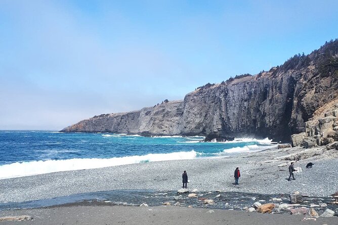 Scenic Bus Tour of the Northeast Avalon from St. John's - Key Points
