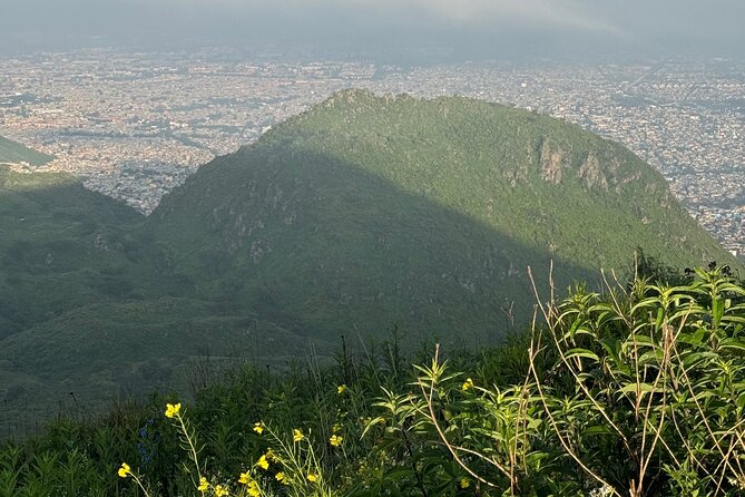 Scenic Cable Car Ride to the Citys Hidden Volcano - Reforestation and Community Support