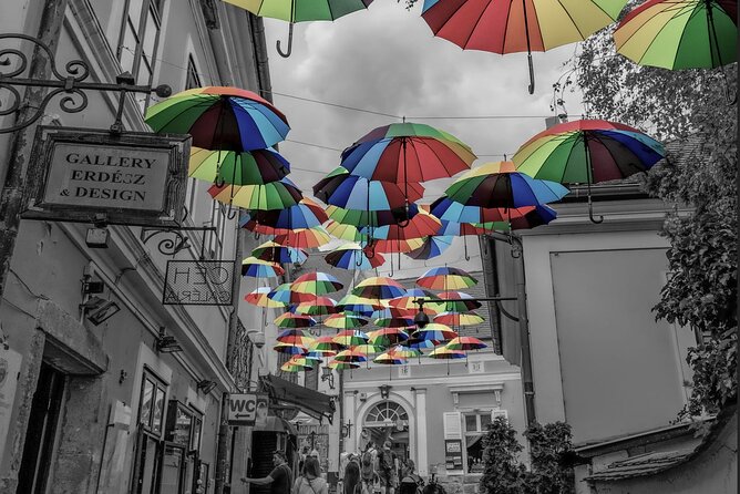 Scenic Danube River bend hills & the Art Town: Private Car Tour - The Experience of Riding in a Vintage Car