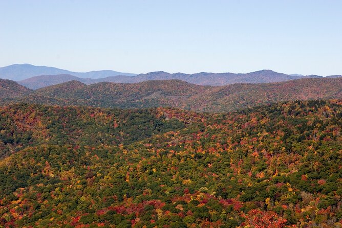 Scenic Driving Tour of the Blue Ridge Mountains - The Expertise of the Naturalist Guide