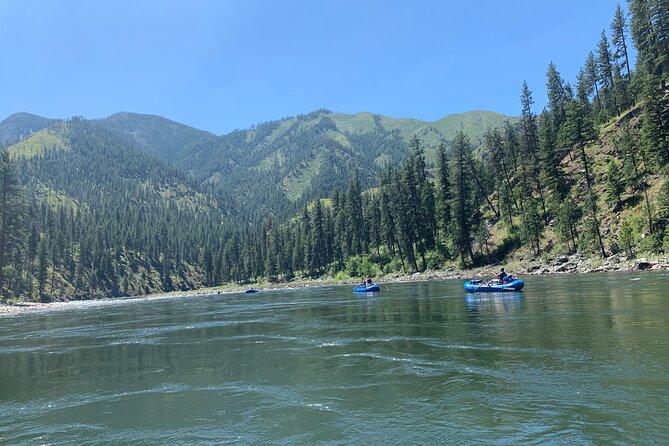 Scenic Float on the Salmon River - Half Day - Comparing This Float with Other Idaho Water Tours