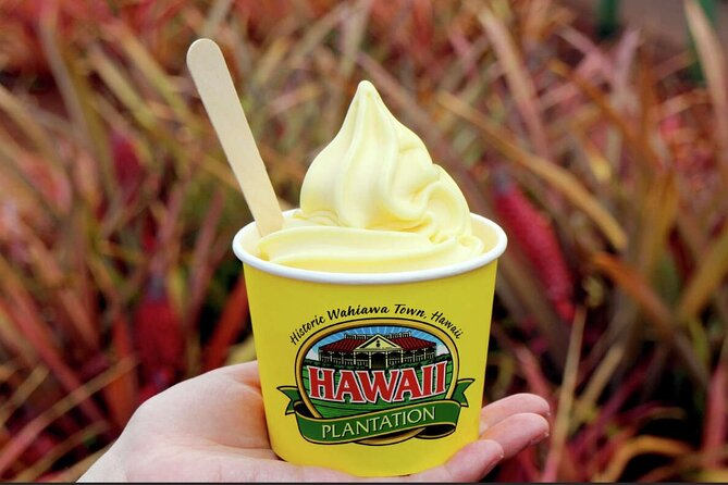 Scenic full day circle island tour-snorkeling/breakfast included - Sampling Authentic Hawaiian Food in Waimanalo