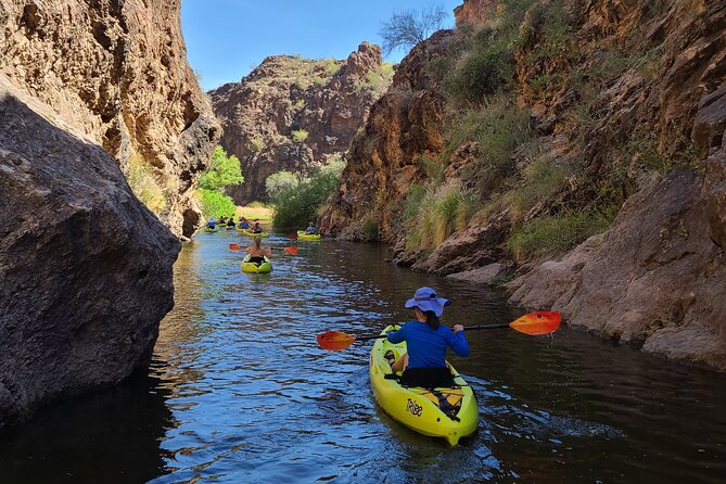 Scenic Guided Kayaking Tour on Saguaro Lake - Wildlife and Scenic Highlights Along the Water